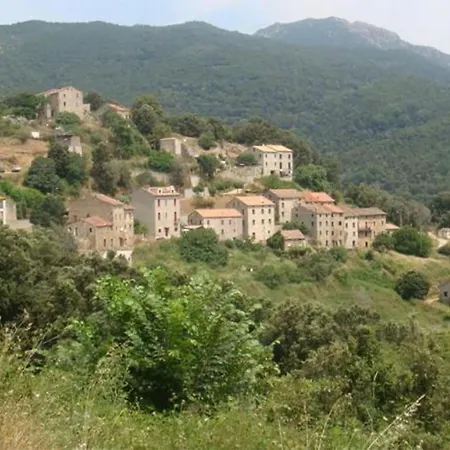 Paese *