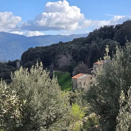 Paese
