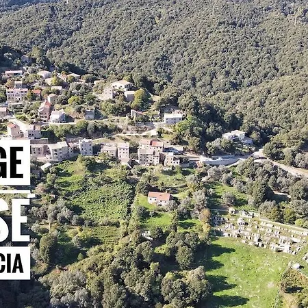 Apartment Paese Albitreccia