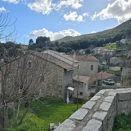 Paese Albitreccia